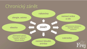 Dr. Frey - zánět na molekulární úrovni